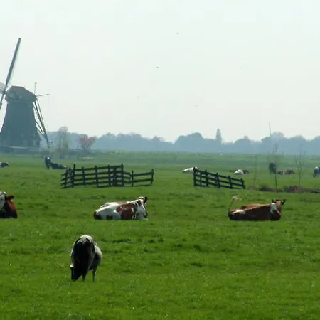 Cottage Nieuwkoop Vakantiehuis Nieuwkoop