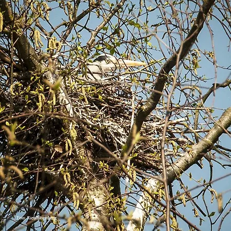 Cottage Nieuwkoop Nieuwkoop