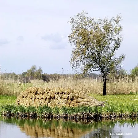Cottage Nieuwkoop Semesterbostad Nieuwkoop