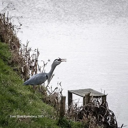 Cottage Nieuwkoop * Nieuwkoop