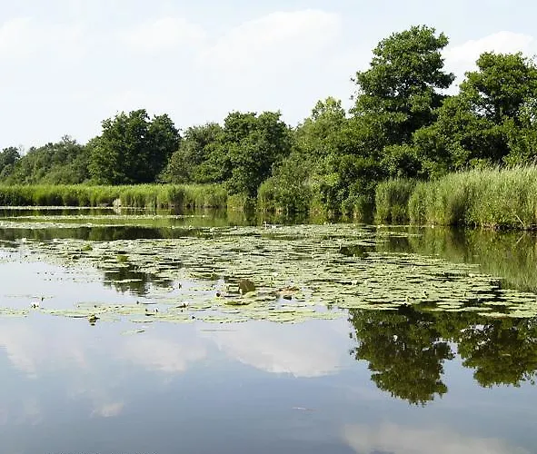 Cottage Nieuwkoop Сasa de vacaciones Nieuwkoop