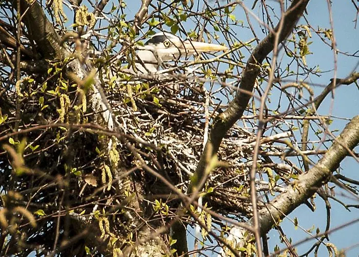 Cottage Nieuwkoop Nieuwkoop