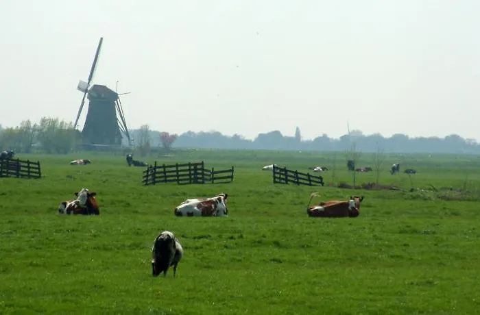 Cottage Nieuwkoop Semesterbostad Nieuwkoop