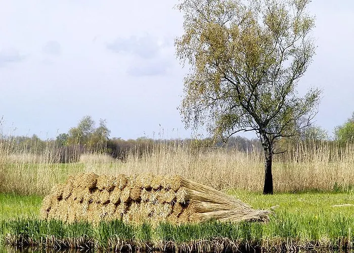 Cottage Nieuwkoop Semesterbostad Nieuwkoop