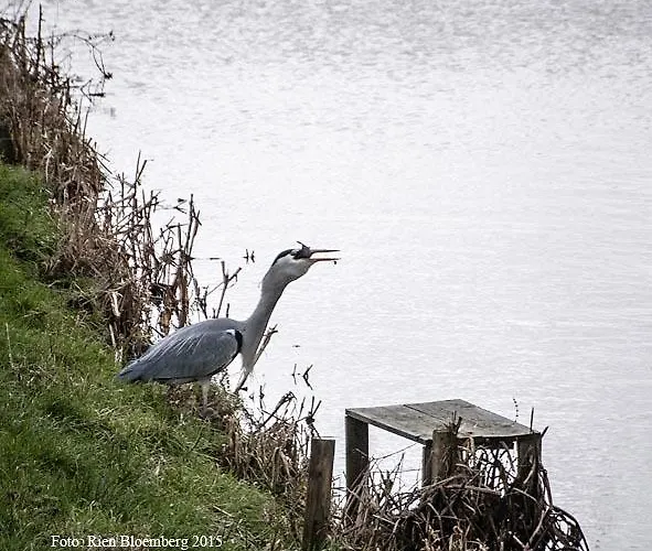 Cottage Nieuwkoop * Nieuwkoop